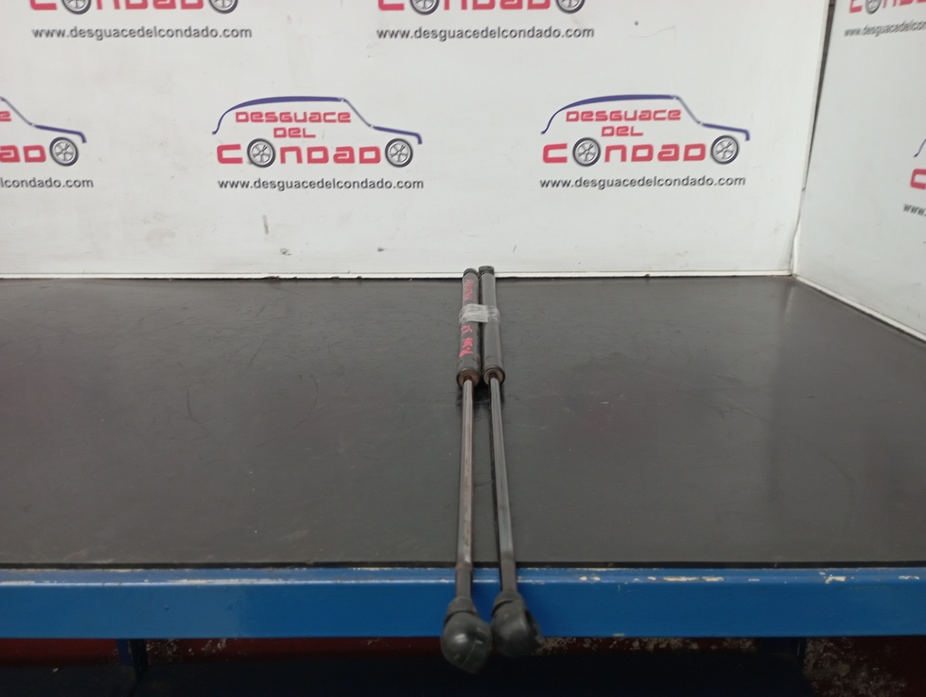 AMORTIGUADORES MALETERO / PORTON