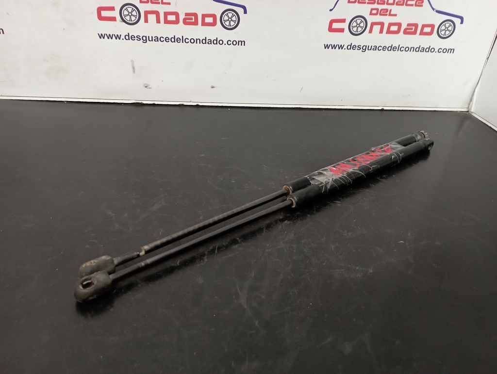 AMORTIGUADORES MALETERO / PORTON