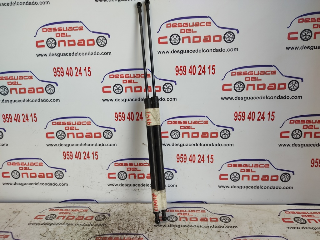 AMORTIGUADORES MALETERO / PORTON