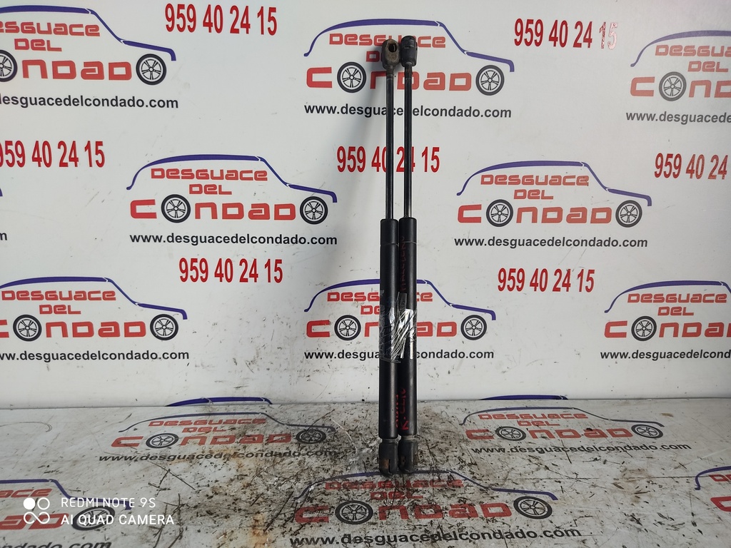 AMORTIGUADORES MALETERO / PORTON