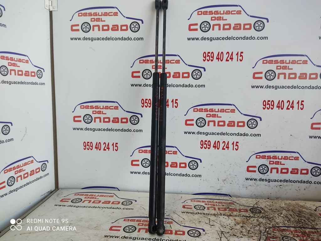 AMORTIGUADORES MALETERO / PORTON