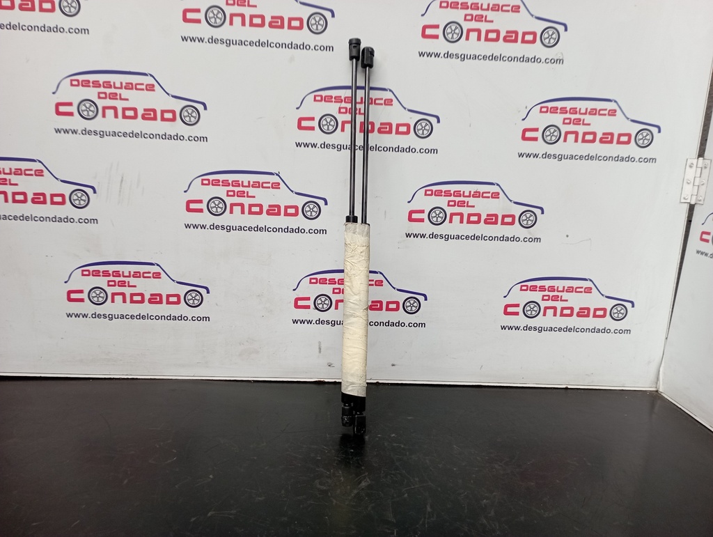 AMORTIGUADORES MALETERO / PORTON