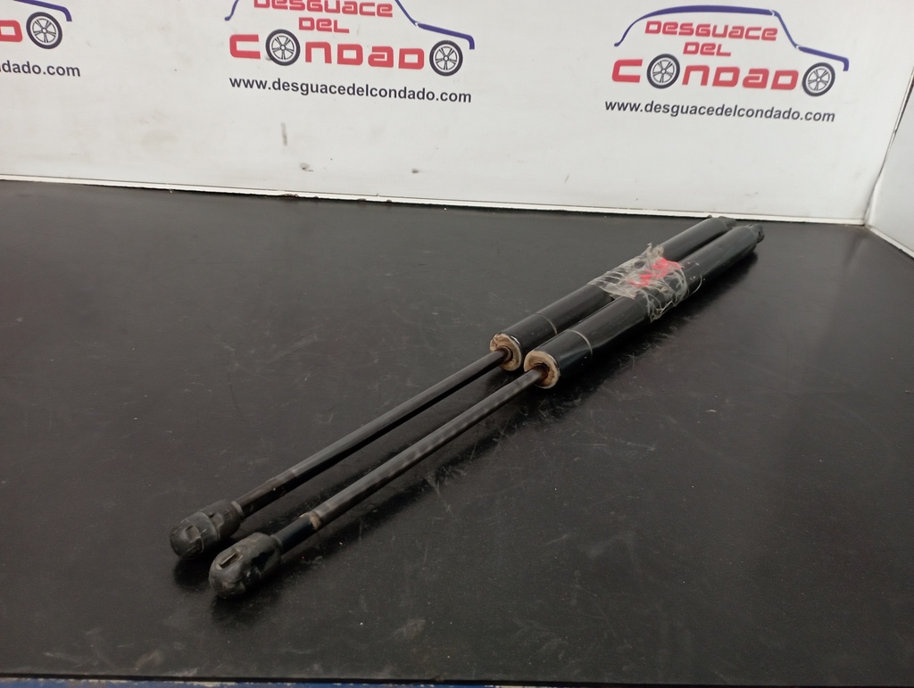 AMORTIGUADORES MALETERO / PORTON