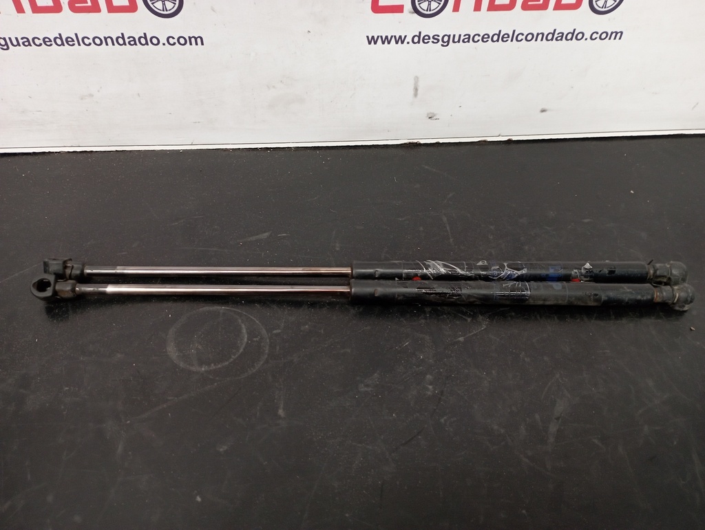 AMORTIGUADORES MALETERO / PORTON