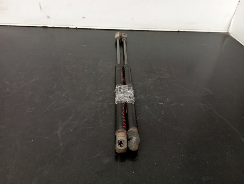 AMORTIGUADORES MALETERO / PORTON