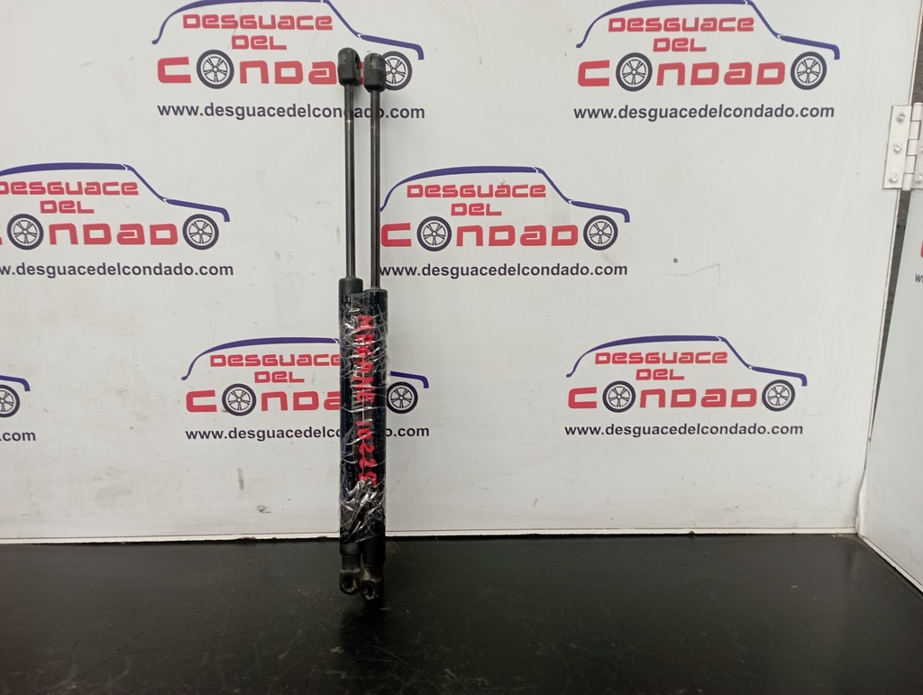 AMORTIGUADORES MALETERO / PORTON