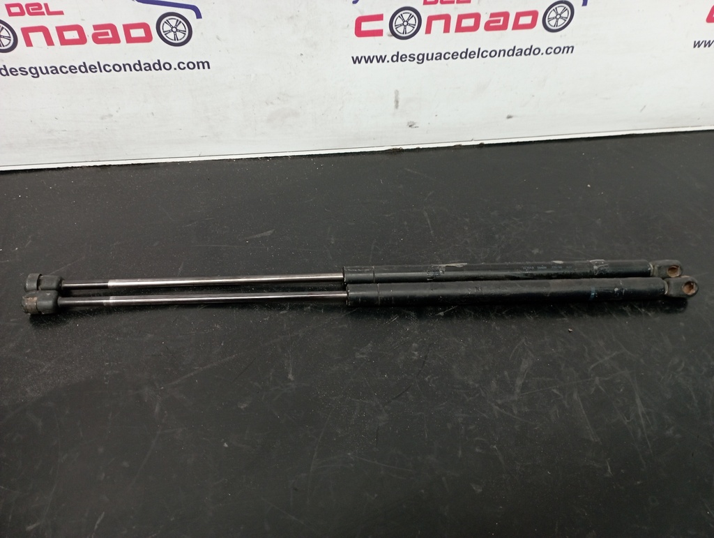 AMORTIGUADORES MALETERO / PORTON