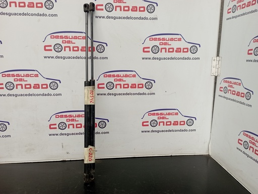 [139292] AMORTIGUADORES MALETERO / PORTON