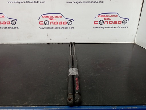 [182048] AMORTIGUADORES MALETERO / PORTON