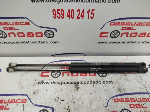 [97832] AMORTIGUADORES MALETERO / PORTON