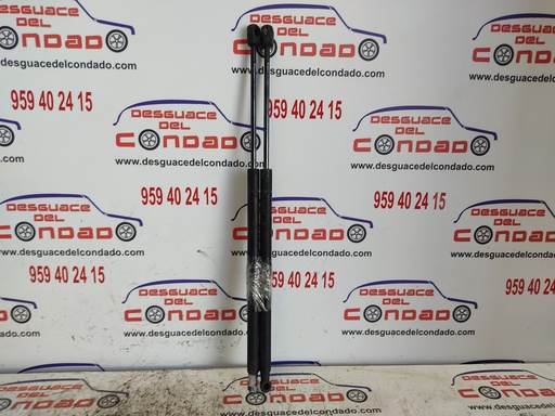 [105562] AMORTIGUADORES MALETERO / PORTON