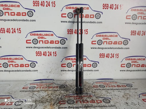 [109594] AMORTIGUADORES MALETERO / PORTON