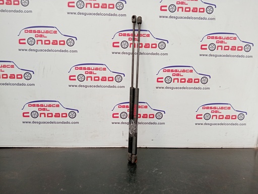 [148359] AMORTIGUADORES MALETERO / PORTON