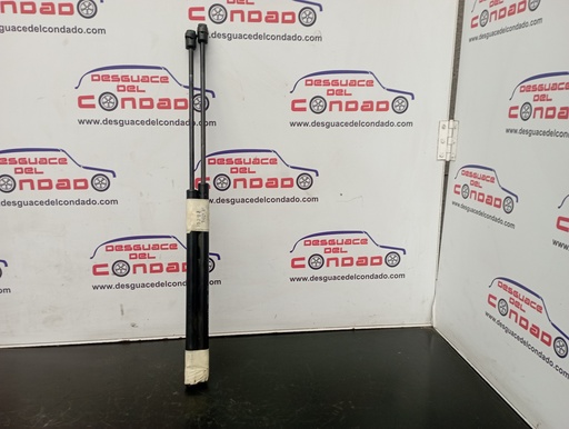 [180388] AMORTIGUADORES MALETERO / PORTON