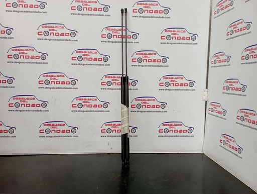 [181465] AMORTIGUADORES MALETERO / PORTON