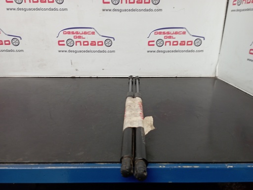 [182050] AMORTIGUADORES MALETERO / PORTON