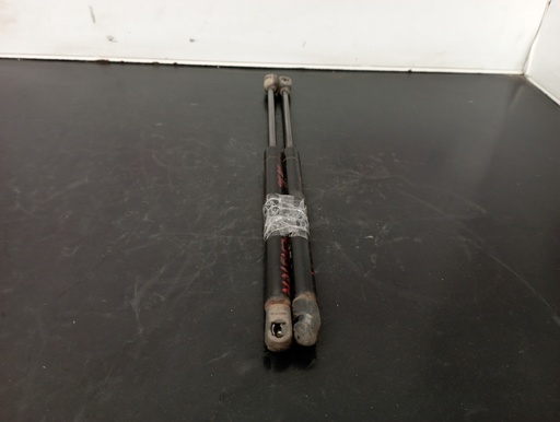 [104742] AMORTIGUADORES MALETERO / PORTON