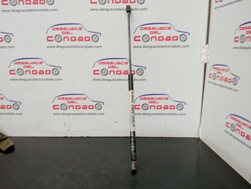 [189270] AMORTIGUADORES CAPO