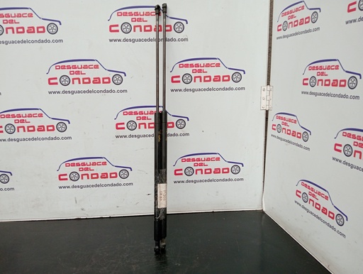 [189269] AMORTIGUADORES CAPO