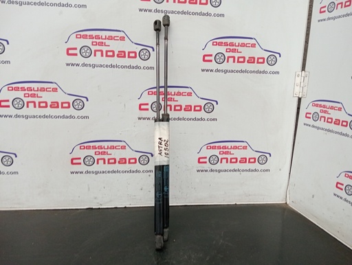 [152126] AMORTIGUADORES MALETERO / PORTON